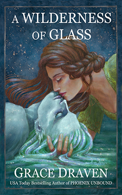 A Wilderness of Glass book cover image